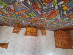 -金山农民画村-枫泾波兰倒置屋