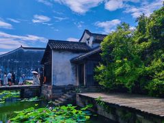 -乌镇景区