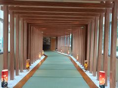 -重庆南山海昌汤都