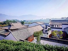 -帐篷客·溪龙茶谷度假酒店