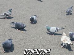 -大连人民广场