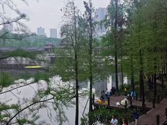 -重庆彩云湖湿地公园