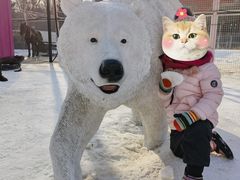 -沈阳奥体冰雪嘉年华