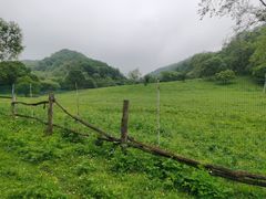 -大水川景区