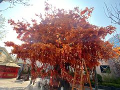 -济南方特东方神画