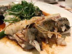 -陶陶居海鲜酒家(新马路店)