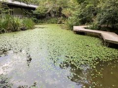 -径山寺