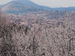 -定都峰