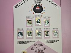 -PO PARK东方宝泰
