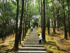 -火炉山森林公园