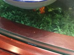 -新泰和人家(金澄天地花园店)