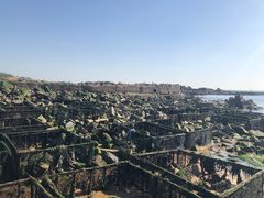 -青岛银沙滩