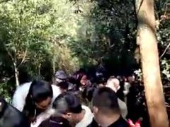 -梦幻奥陶纪景区