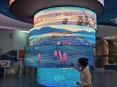 -金钉子远古世界景区