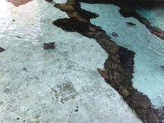 -新加坡水上探险乐园