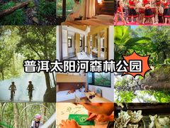 -普洱太阳河森林公园