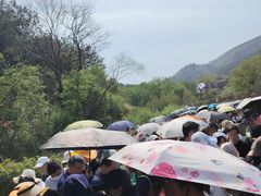 -木兰云雾山