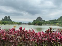 -南宁花花大世界景区