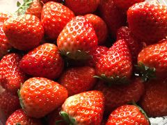 -红星农博物流中心