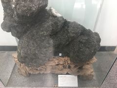 -中国第四纪冰川遗迹陈列馆