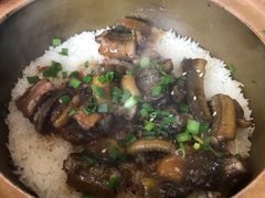 -红星光发煲仔饭(大石街店)