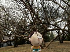 -颐和园