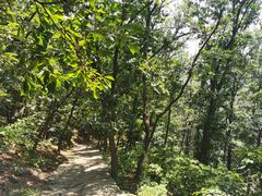 -北京上方山国家森林公园