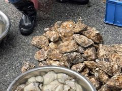 -花苑美食横琴生蚝火锅(拱北粤华路店)