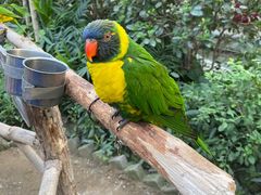 -南宫五洲植物乐园