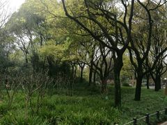 -共青国家森林公园-售票处