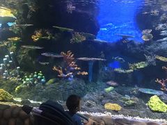 -华夏文旅海洋公园