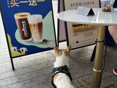 -LAVAZZA拉瓦萨咖啡(上海金融街店)