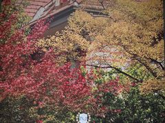 -思南公馆