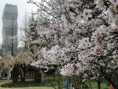 -新虹桥中心花园