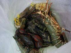 -拉威海鲜市场