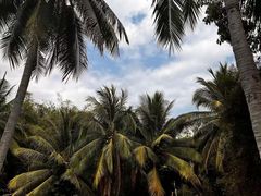 -三亚南山文化旅游区