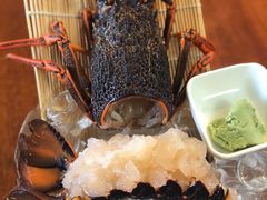 -同乐酒楼(皇后镇店)