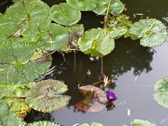 -莲池书院博物馆
