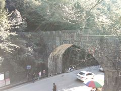 -娄山关景区