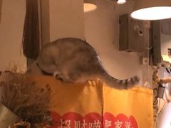 -小时光咖啡馆(北锣鼓巷店)