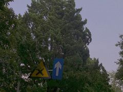 -八大关景区