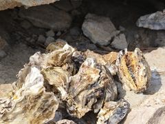 -青岛海泉湾度假区温泉