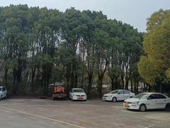 -胜华驾校·小猫学车(银都店)