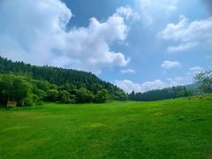 -武陵山森林公园