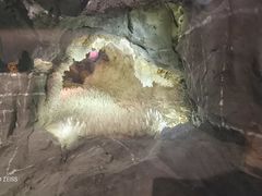 -湖南省地质博物馆