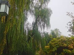 -迎泽公园
