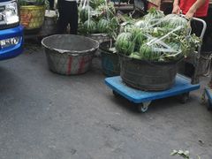 -陇南批发市场