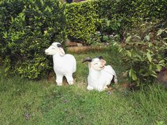 -芭提雅Amporn Seafood自助餐厅