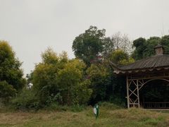 -张坝桂圆林公园