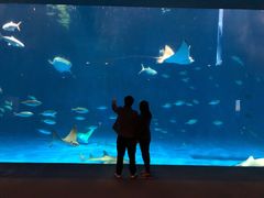 -鹿儿岛水族馆